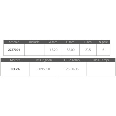 GIRANTE SELVA R.O. 8095050 2