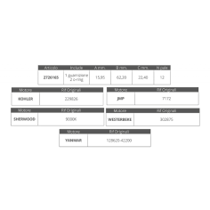 GIRANTE SHERWOOD 9000K 2
