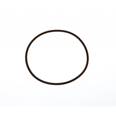 O-RING Ø MM.101,2X3,53