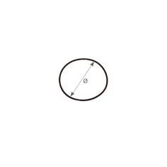 O-RING Ø MM.101,2X3,53 2