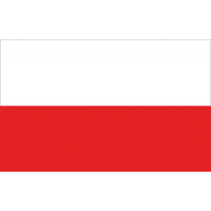 BANDIERA POLONIA CM.20X30