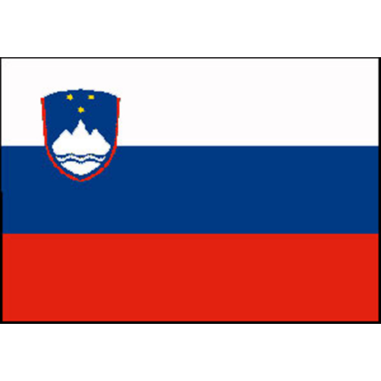 BANDIERA SLOVENIA CM.30X45