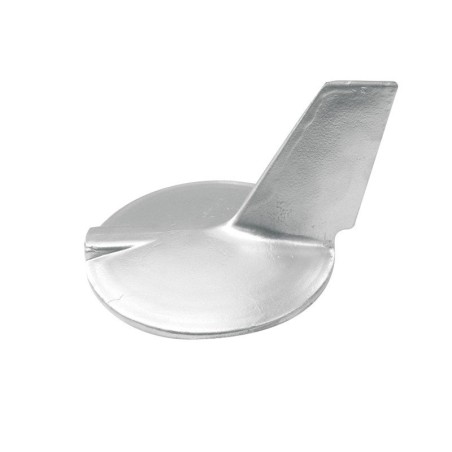PINNA IN MAGNESIO