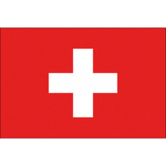 BANDIERA SVIZZERA CM.70X100