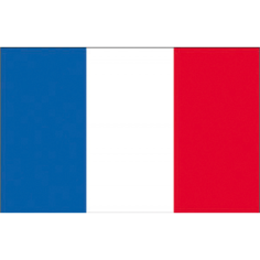 BANDIERA FRANCIA CM.80X120