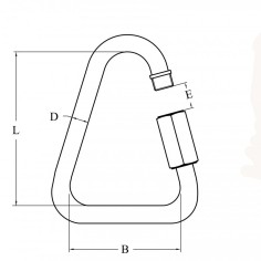 ANELLO A DELTA INOX 316 Ø MM.4 2