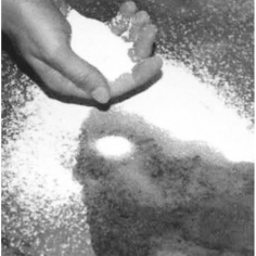 ASSORBENTE GRANULARE 7kg 2