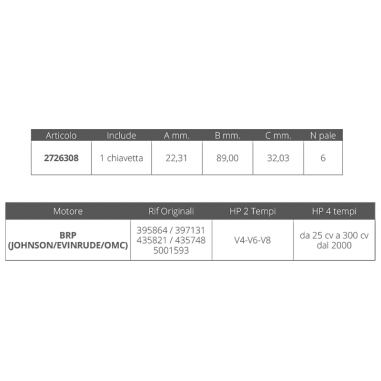 GIRANTE JOHNSON/EV. 2T V4-V6